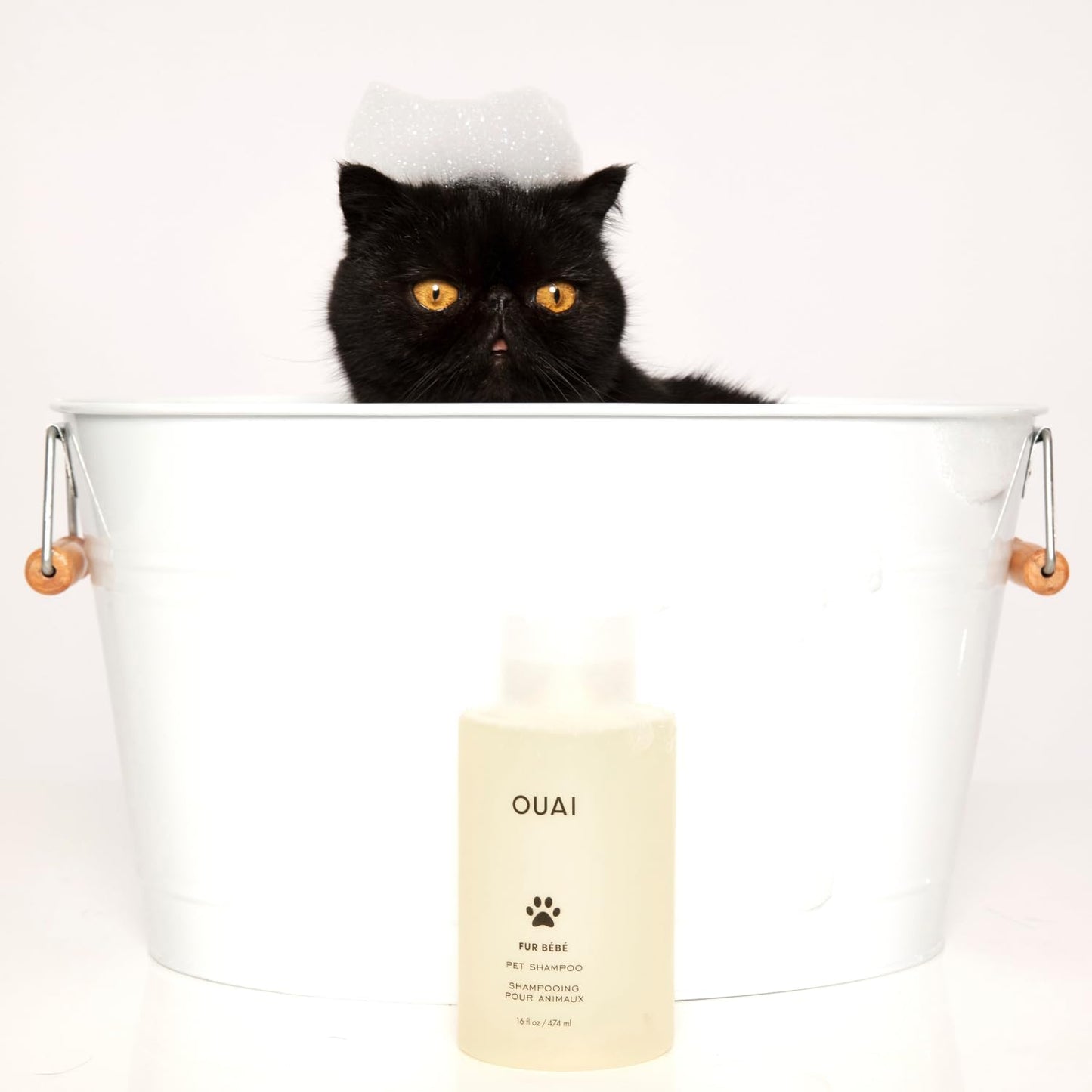 OUAI Fur Bébé Pet Shampoo - Cat & Dog Shampoo for Gentle Cleansing, Hydration & Shine - Vegan & Cruelty-Free Pet Supplies with Aloe Vera & Panthenol - Mercer Street Scent (16 Fl oz)
