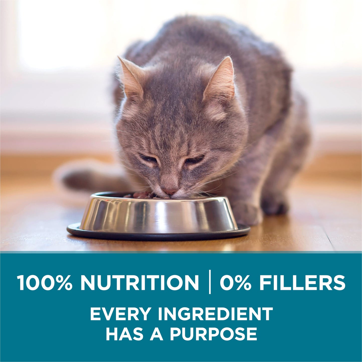 Purina ONE Natural Dry Cat Food, Tender Selects Blend With Real Chicken - 22 lb. Bag