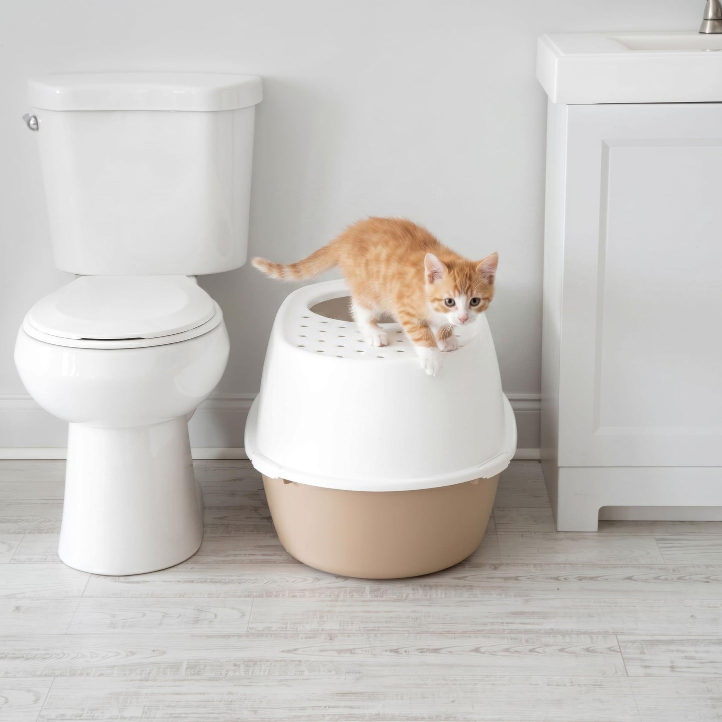 IRIS USA Extra Large Litter Box XXL Open Top High Sided Walls Scatter Shield Scoop Included Easy Clean Plastic Pan for Big Cats Multi-Cat Households 30" L x 20" W x 14" H Black
