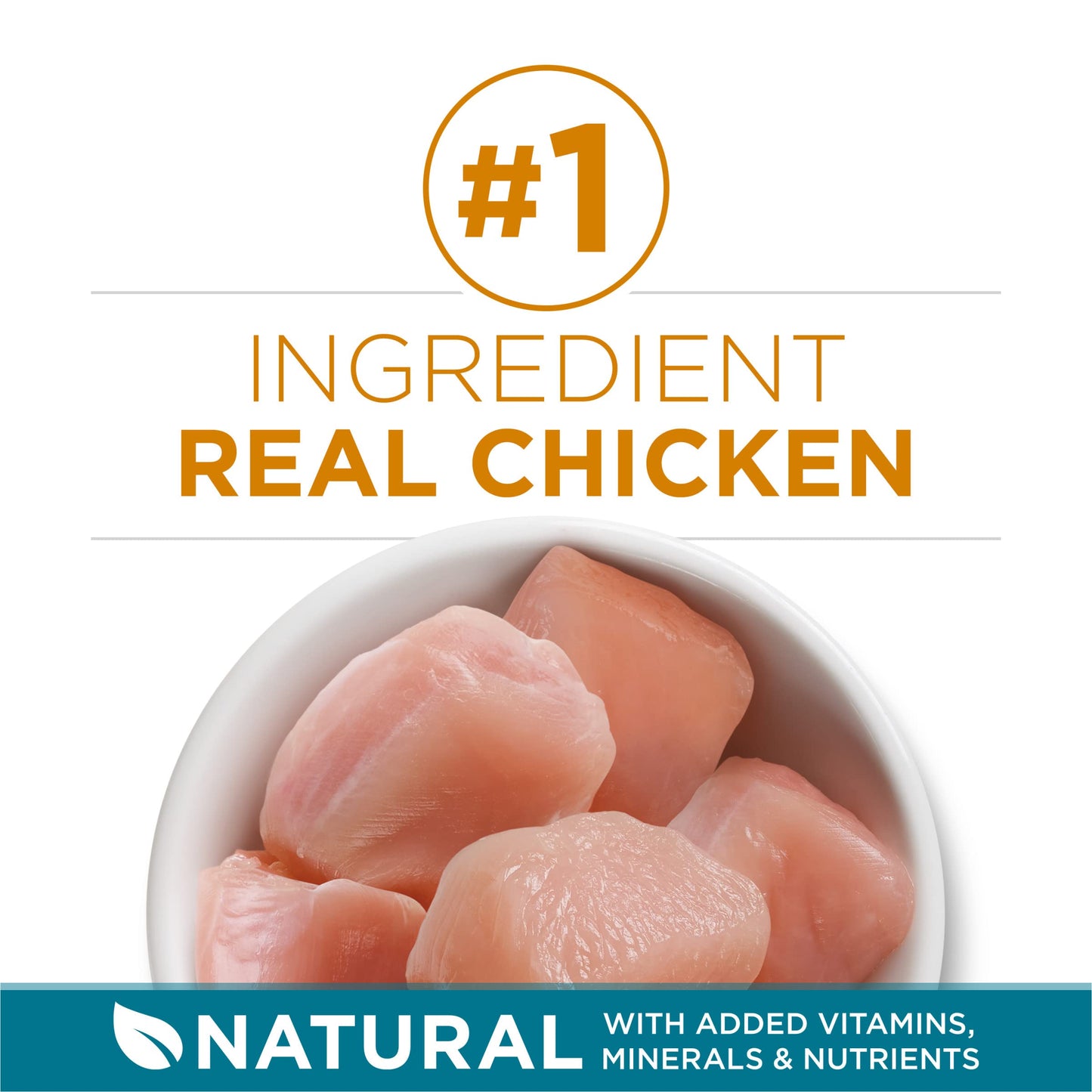 Purina ONE Natural Dry Cat Food, Tender Selects Blend With Real Chicken - 22 lb. Bag