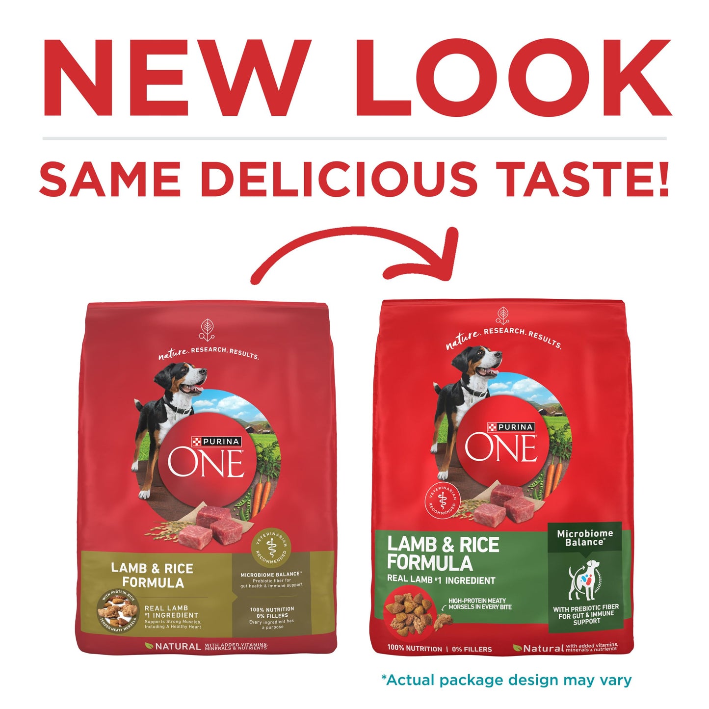 Purina ONE Dry Dog Food Lamb and Rice Formula - 31.1 lb. Bag