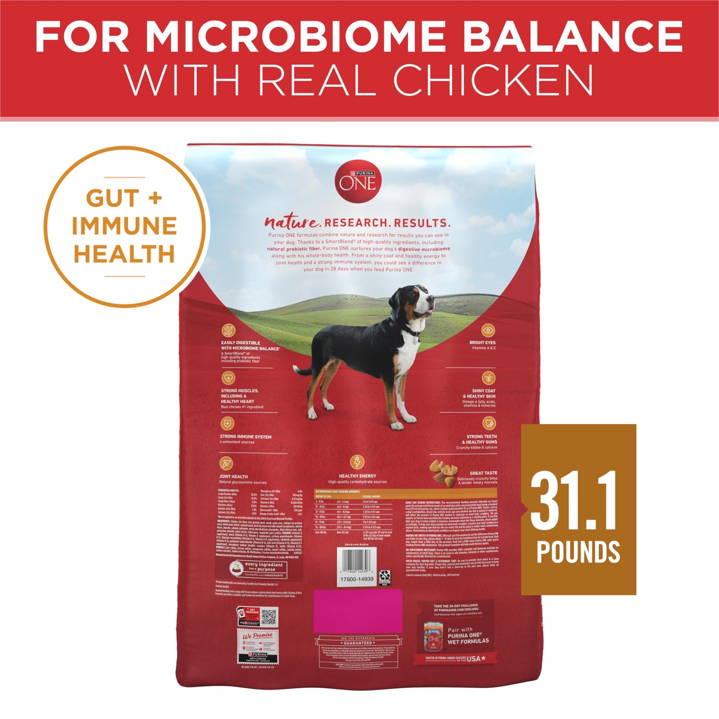 Purina ONE Dry Dog Food Lamb and Rice Formula - 31.1 lb. Bag