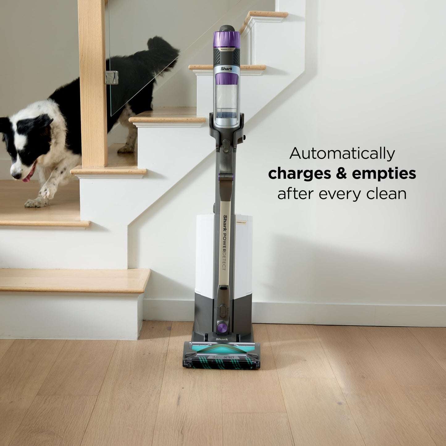 Shark PowerDetect Cordless Stick Vacuum, Powerful Suction, HEPA Filtration, Carpet & Hard Floor, Portable, Stick Vacuum for Pet Hair, Java Ice Blue, IP1255