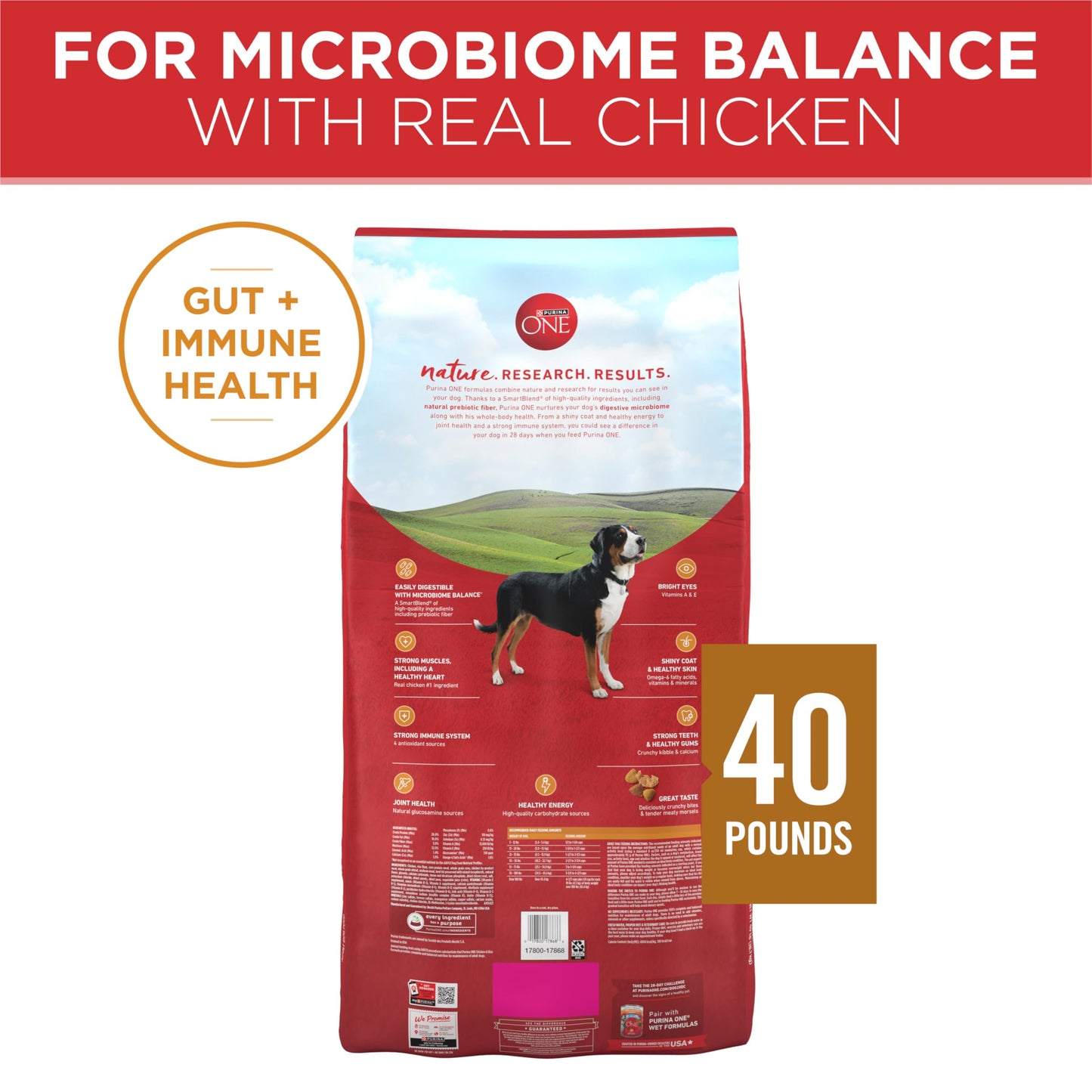 Purina ONE Dry Dog Food Lamb and Rice Formula - 31.1 lb. Bag