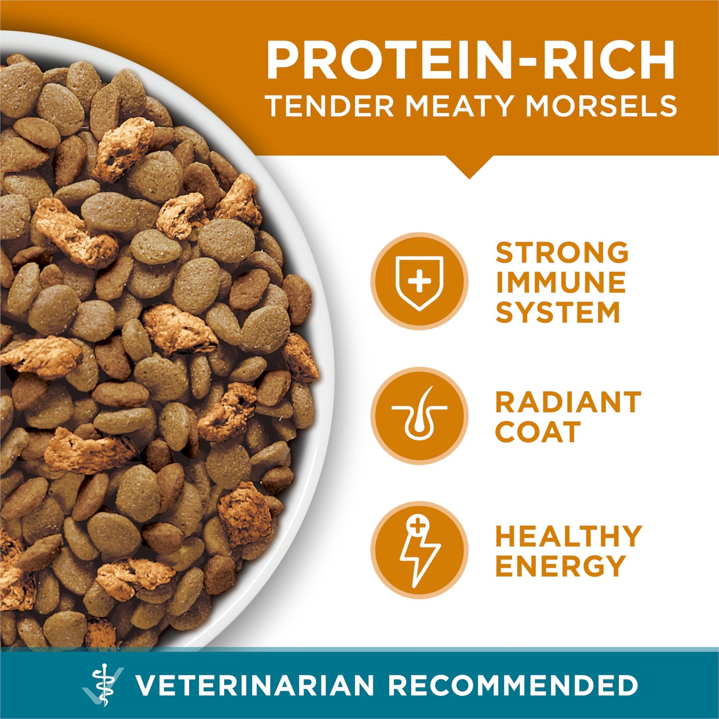 Purina ONE Natural Dry Cat Food, Tender Selects Blend With Real Chicken - 22 lb. Bag