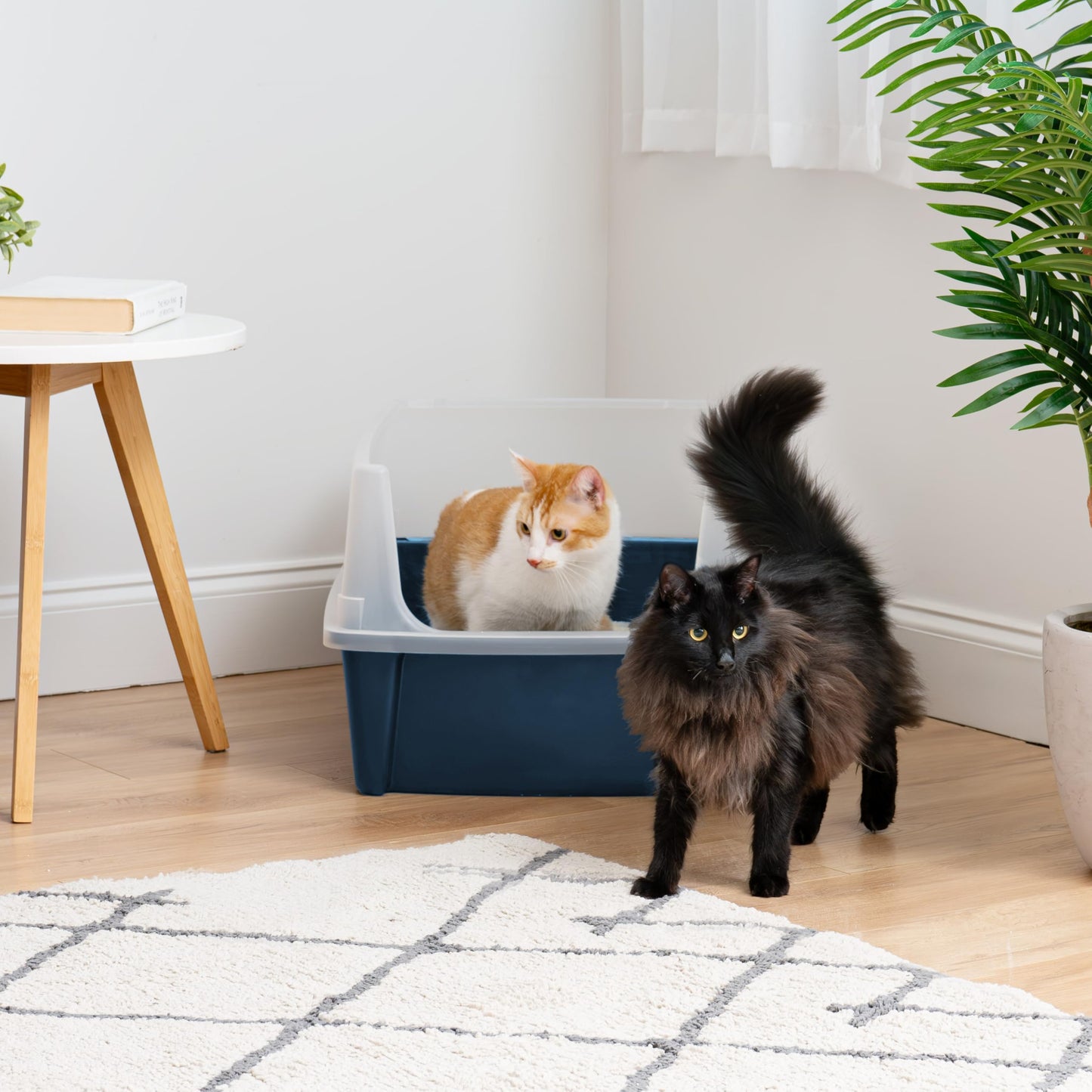 IRIS USA Extra Large Litter Box XXL Open Top High Sided Walls Scatter Shield Scoop Included Easy Clean Plastic Pan for Big Cats Multi-Cat Households 30" L x 20" W x 14" H Black