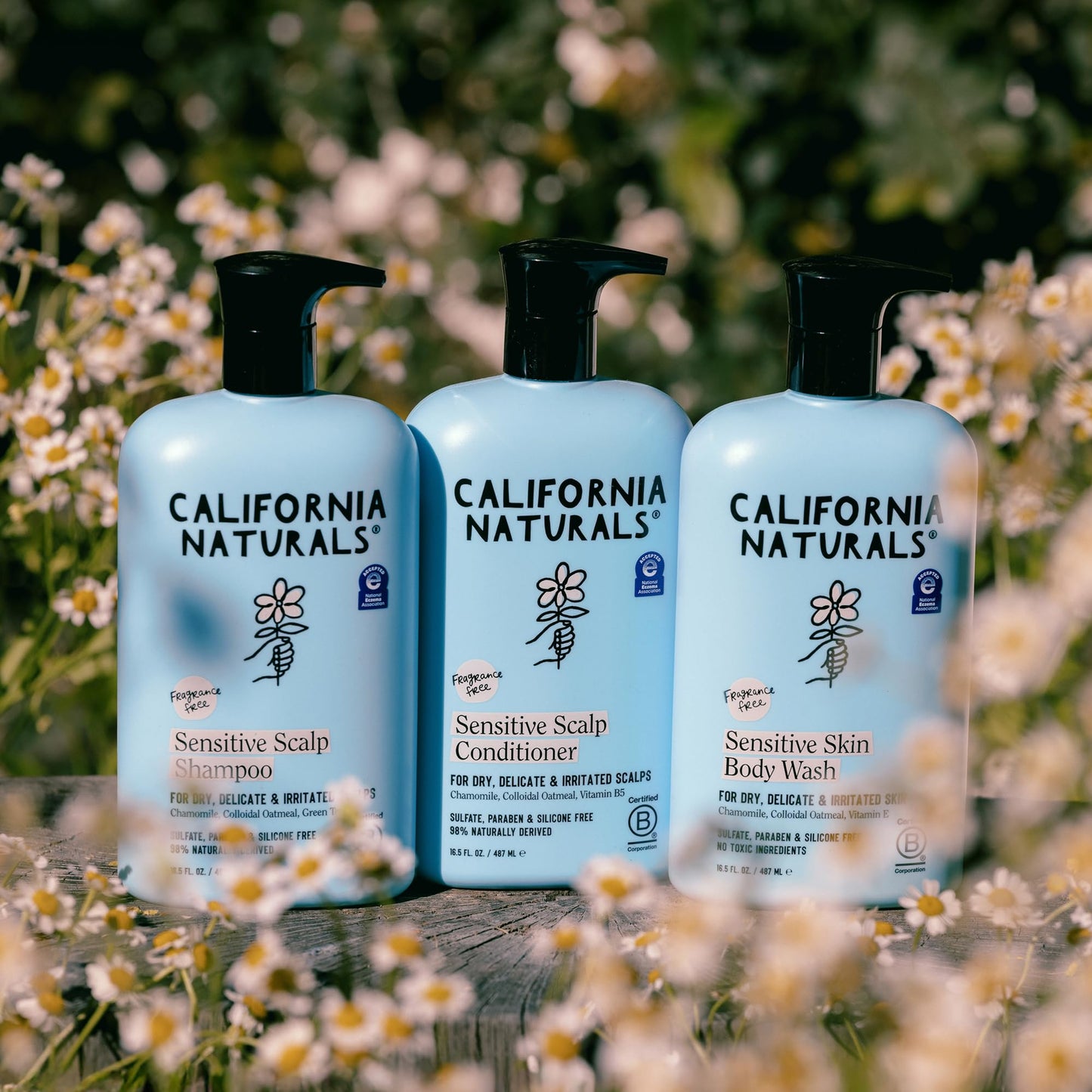 California Naturals Sensitive Skin Body Wash, Soothing & Gentle for Sensitive & Dry Skin, Unscented & Fragrance Free, Colloidal Oat & Chamomile, Vegan, Paraben & Sulfate Free, 16.5 oz