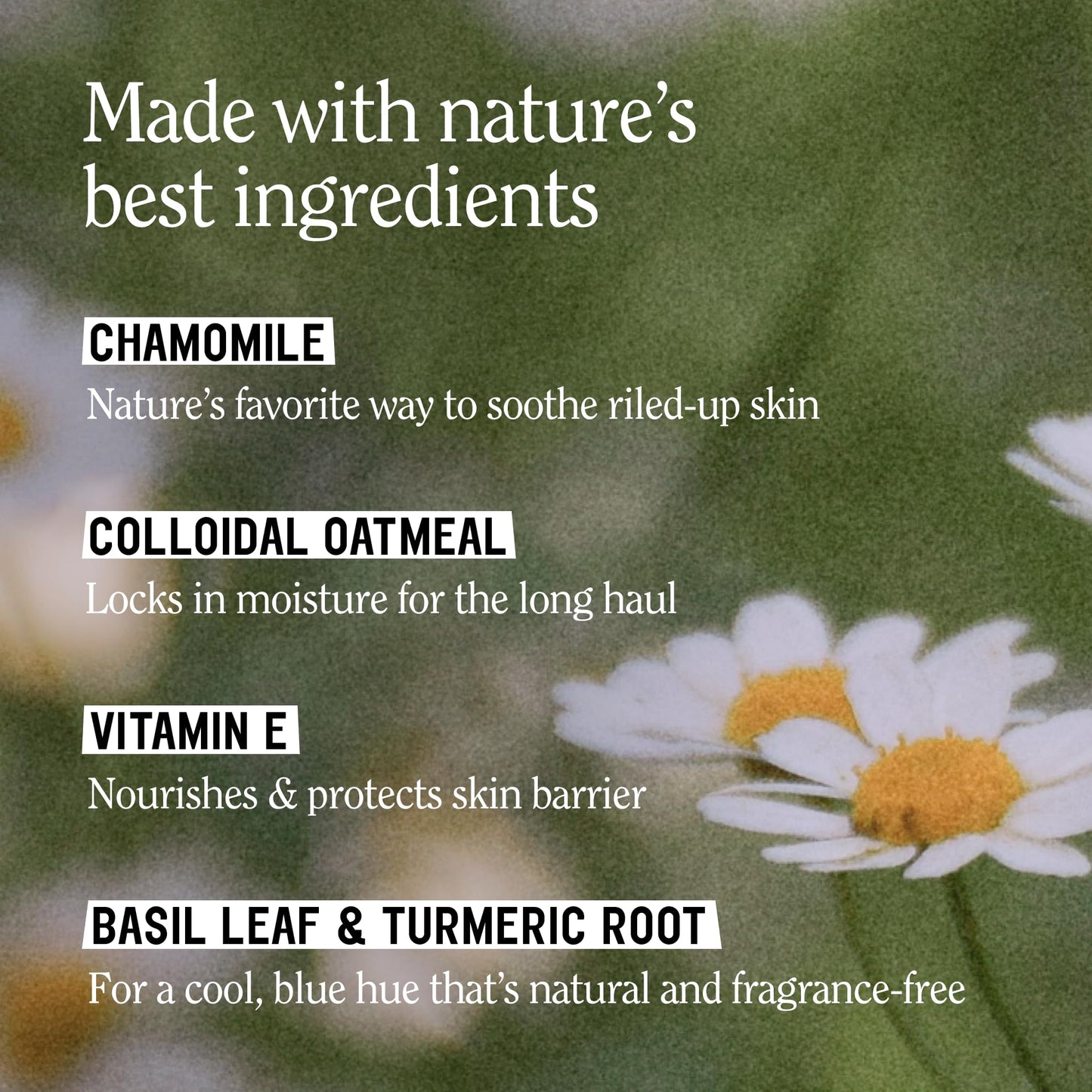 California Naturals Sensitive Skin Body Wash, Soothing & Gentle for Sensitive & Dry Skin, Unscented & Fragrance Free, Colloidal Oat & Chamomile, Vegan, Paraben & Sulfate Free, 16.5 oz