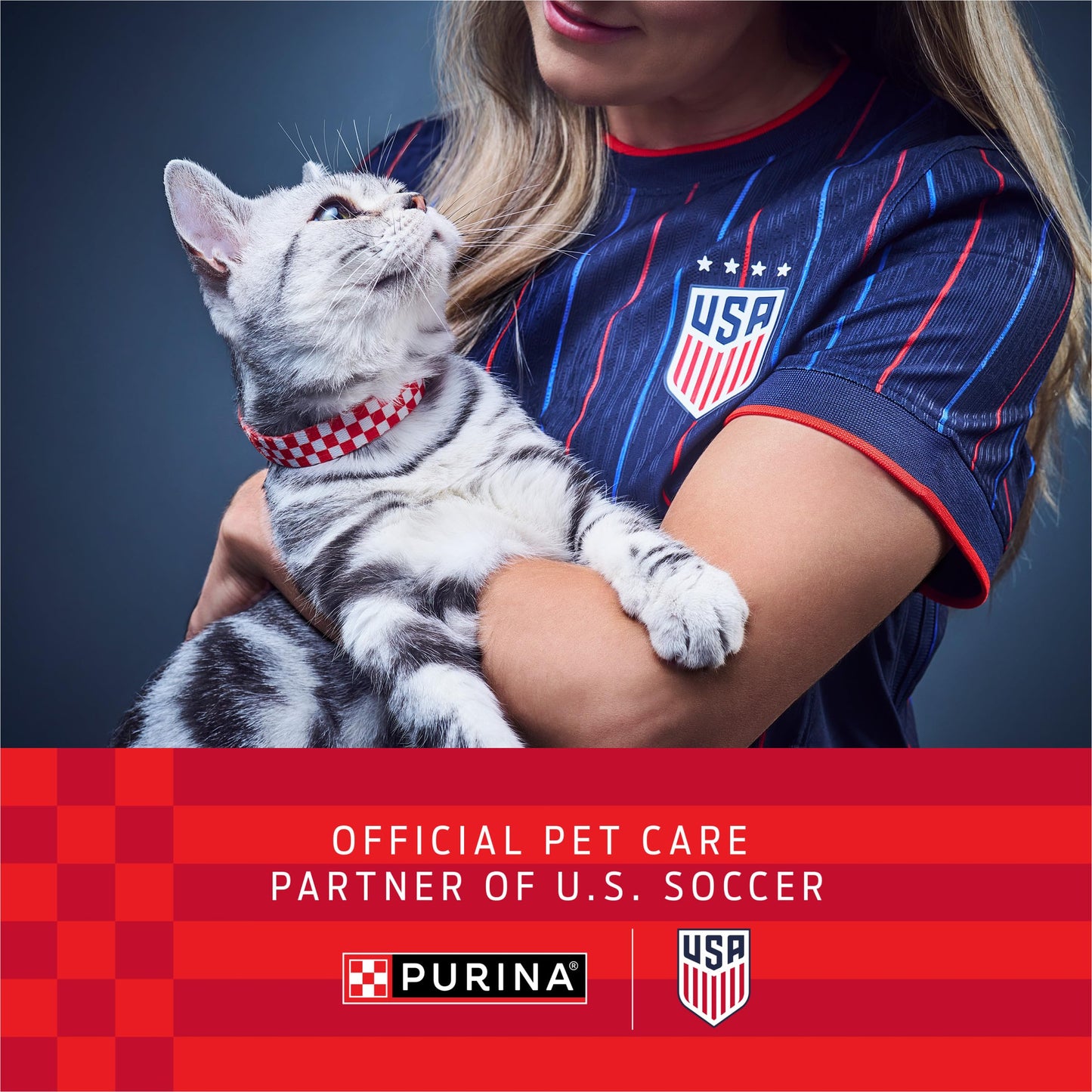 Purina ONE Natural Dry Cat Food, Tender Selects Blend With Real Chicken - 22 lb. Bag